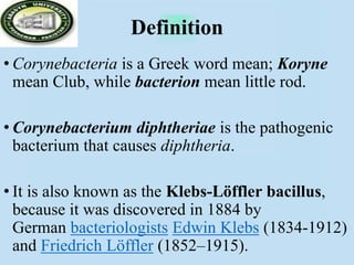 Definition
• Corynebacteria is a Greek word mean; Koryne
mean Club, while bacterion mean little rod.
• Corynebacterium diphtheriae is the pathogenic
bacterium that causes diphtheria.
• It is also known as the Klebs-Löffler bacillus,
because it was discovered in 1884 by
German bacteriologists Edwin Klebs (1834-1912)
and Friedrich Löffler (1852–1915).
 