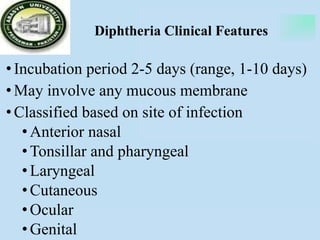 Diphtheria Clinical Features
•Incubation period 2-5 days (range, 1-10 days)
•May involve any mucous membrane
•Classified based on site of infection
•Anterior nasal
•Tonsillar and pharyngeal
•Laryngeal
•Cutaneous
•Ocular
•Genital
 