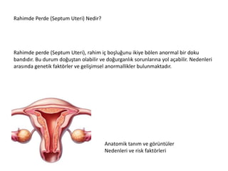 Rahimde perde düşüğe neden olurmu