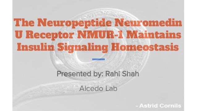 The Neuropeptide Neuromedin
U Receptor NMUR-1 Maintains
Insulin Signaling Homeostasis
Presented by: Rahi Shah
Alcedo Lab
 