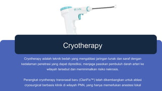 Summary of Systematic Review of Cryoablation Using ClariFix for Chronic ...
