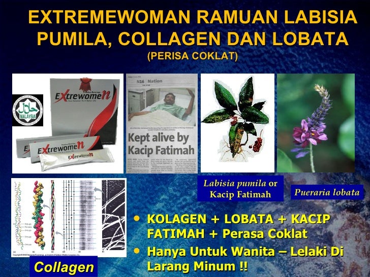 Rahmanshah Group Presentation Ebyg2u