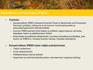 Kansallinen luontopaneeli (IPBES)
• Toiminta:
– Kansainvälinen IPBES (Intergovernmental Panel on Biodiversity and Ecosystem
Services) syntetisoi, kokoaa ja arvioi luonnon monimuotoisuuteen ja
ekosysteemipalveluihin liittyvää tiedettä
– Suomen IPBES-paneeli toimii tieteen ja politiikan rajapinnassa ja vahvistaa
tieteellisen tiedon ja päätöksenteon linkkiä
– Keskustelee kansallisista tietotarpeista, tunnistaa kansallisia prioriteetteja, joita
Suomi vie IPBES:iin, koostaa Suomen kantoja, toteuttaa työohjelmia.
• Kansainvälinen IPBES tukee neljää avaintoimintaa:
– Tiedon tuottaminen
– Arviot (assessments)
– Päätöksentekoa tukevat työkalut
– Osaamisen ja toimintamahdollisuuksien vahvistaminen (capacity building)
 