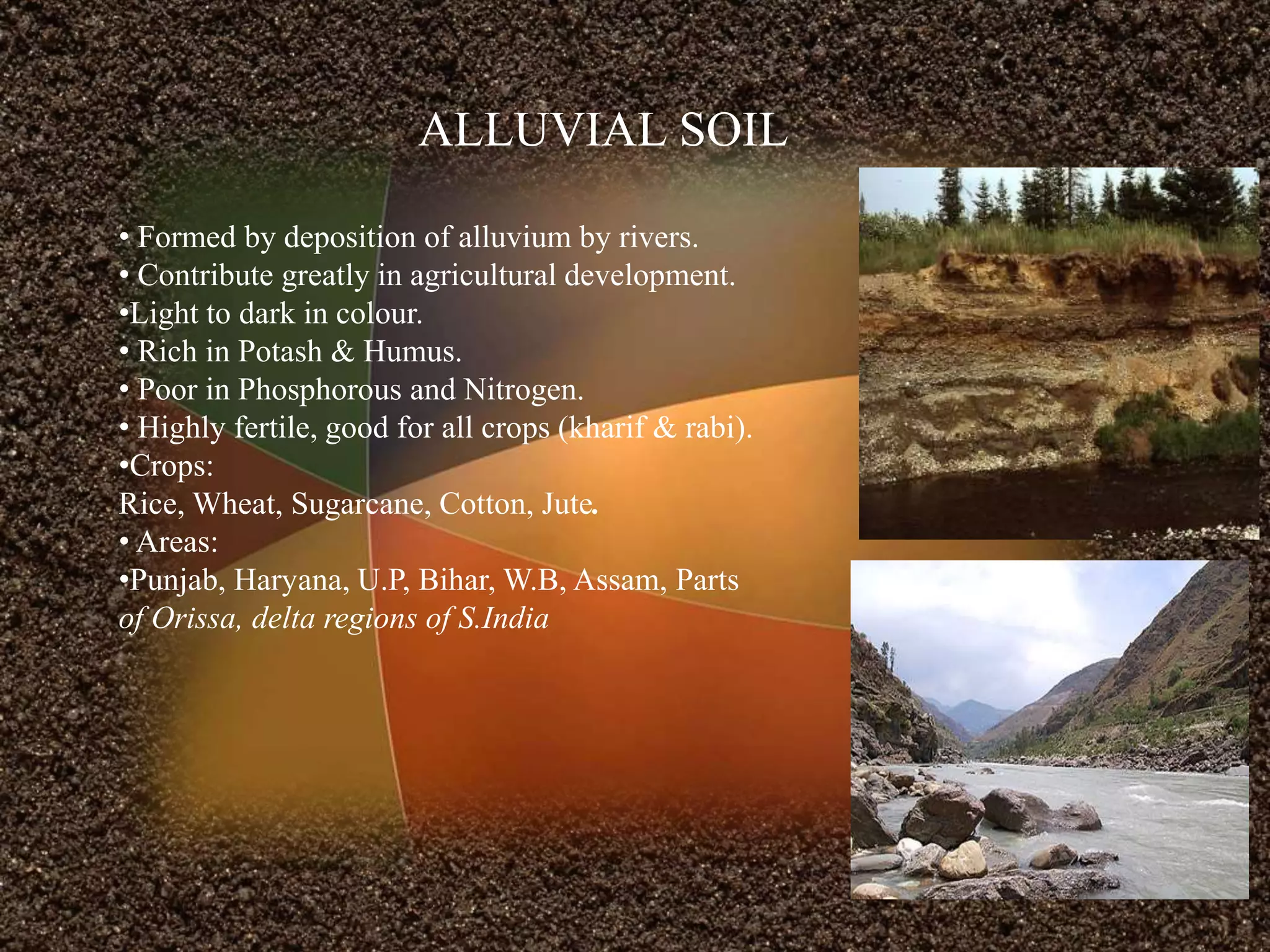 ALLUVIAL SOIL
• Formed by deposition of alluvium by rivers.
• Contribute greatly in agricultural development.
•Light to dark in colour.
• Rich in Potash & Humus.
• Poor in Phosphorous and Nitrogen.
• Highly fertile, good for all crops (kharif & rabi).
•Crops:
Rice, Wheat, Sugarcane, Cotton, Jute.
• Areas:
•Punjab, Haryana, U.P, Bihar, W.B, Assam, Parts
of Orissa, delta regions of S.India
 