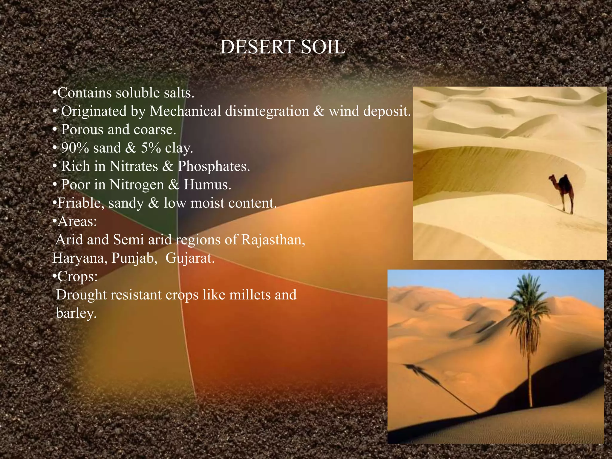 DESERT SOIL
•Contains soluble salts.
• Originated by Mechanical disintegration & wind deposit.
• Porous and coarse.
• 90% sand & 5% clay.
• Rich in Nitrates & Phosphates.
• Poor in Nitrogen & Humus.
•Friable, sandy & low moist content.
•Areas:
Arid and Semi arid regions of Rajasthan,
Haryana, Punjab, Gujarat.
•Crops:
Drought resistant crops like millets and
barley.
 