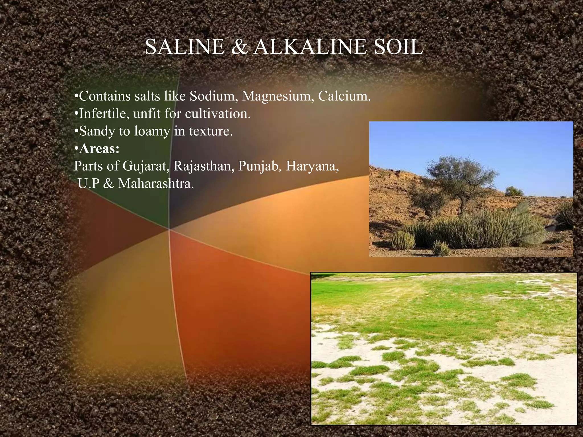 SALINE & ALKALINE SOIL
•Contains salts like Sodium, Magnesium, Calcium.
•Infertile, unfit for cultivation.
•Sandy to loamy in texture.
•Areas:
Parts of Gujarat, Rajasthan, Punjab, Haryana,
U.P & Maharashtra.
 