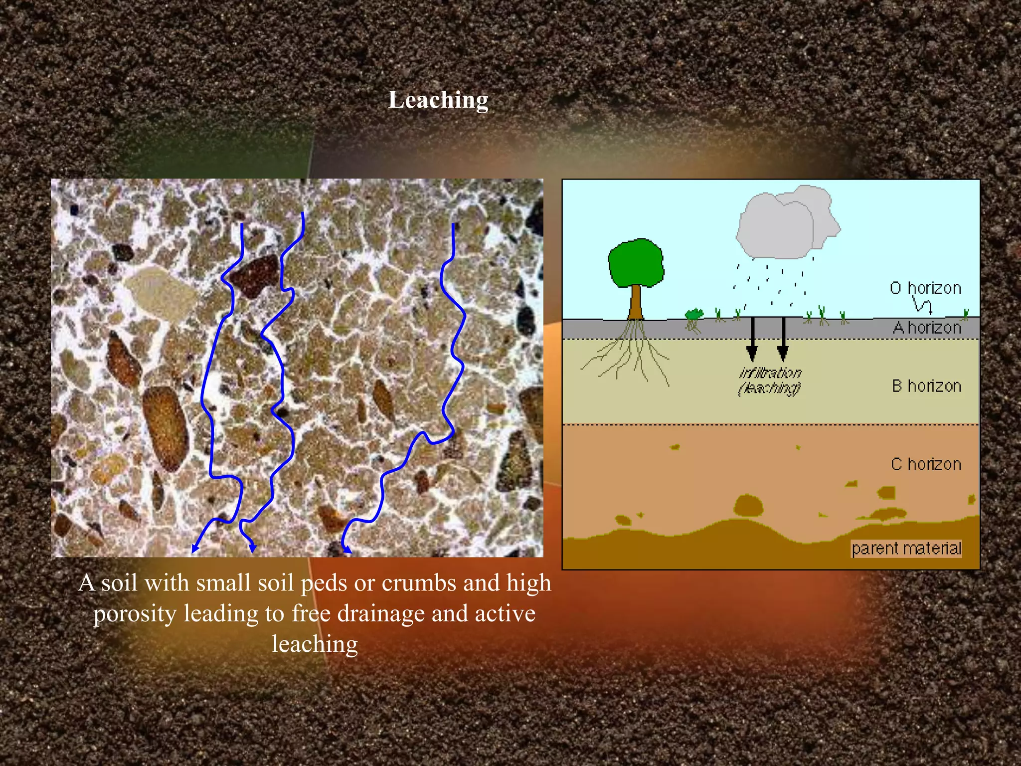 A soil with small soil peds or crumbs and high
porosity leading to free drainage and active
leaching
Leaching
 