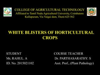 COLLEGE OF AGRICULTURAL TECHNOLOGY
Affiliated to Tamil Nadu Agricultural University, Coimbatore
Kullapuram, Via Vaigai dam, Theni-625 562
WHITE BLISTERS OF HORTICULTURAL
CROPSOF
STUDENT COURSE TEACHER
Mr, RAHUL. A Dr. PARTHASARATHY. S
ID. No. 2015021102 Asst. Prof., (Plant Pathology)
 
