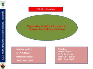 ICAR-IndianAgriculturalResearchInstitute,NewDelhi
GP 691- Seminar
Exploration of miRNA Diversity for
Nutrient Use Efficiency in Crops
Seminar leader :
Dr . V S Hegde
Principal scientist
IARI , New Delhi
Speaker:
Rahul kumar
M.Sc first year
DIV. Of Genetics
IARI , New Delhi
 