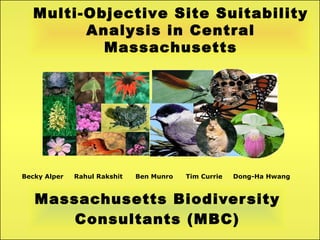 Massachusetts Biodiversity Consultants (MBC) Becky Alper  Rahul Rakshit  Ben Munro  Tim Currie  Dong-Ha Hwang Multi-Objective Site Suitability Analysis in Central Massachusetts 