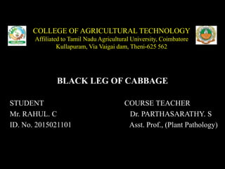COLLEGE OF AGRICULTURAL TECHNOLOGY
Affiliated to Tamil Nadu Agricultural University, Coimbatore
Kullapuram, Via Vaigai dam, Theni-625 562
BLACK LEG OF CABBAGE
STUDENT COURSE TEACHER
Mr. RAHUL. C Dr. PARTHASARATHY. S
ID. No. 2015021101 Asst. Prof., (Plant Pathology)
 
