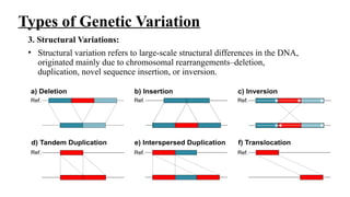 Genetic Variations: Impact on Health and Pharmacology | PPTX