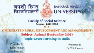 M.A.
(INTEGRATED RURAL DEVELOPMENT AND MANAGEMENT)
Faculy of Social Science
Presented by
Rahul Kumar
Roll no. 31
Presented to
Dr. V.K. Paswan
Session- 2021-2023
Topic:Layer Farming in India
Subject: Animal Husbandry (403)
 