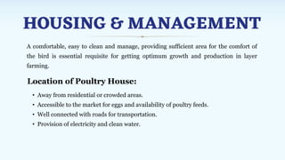 HOUSING & MANAGEMENT
A comfortable, easy to clean and manage, providing sufficient area for the comfort of
the bird is essential requisite for getting optimum growth and production in layer
farming.
Location of Poultry House:
• Away from residential or crowded areas.
• Accessible to the market for eggs and availability of poultry feeds.
• Well connected with roads for transportation.
• Provision of electricity and clean water.
 