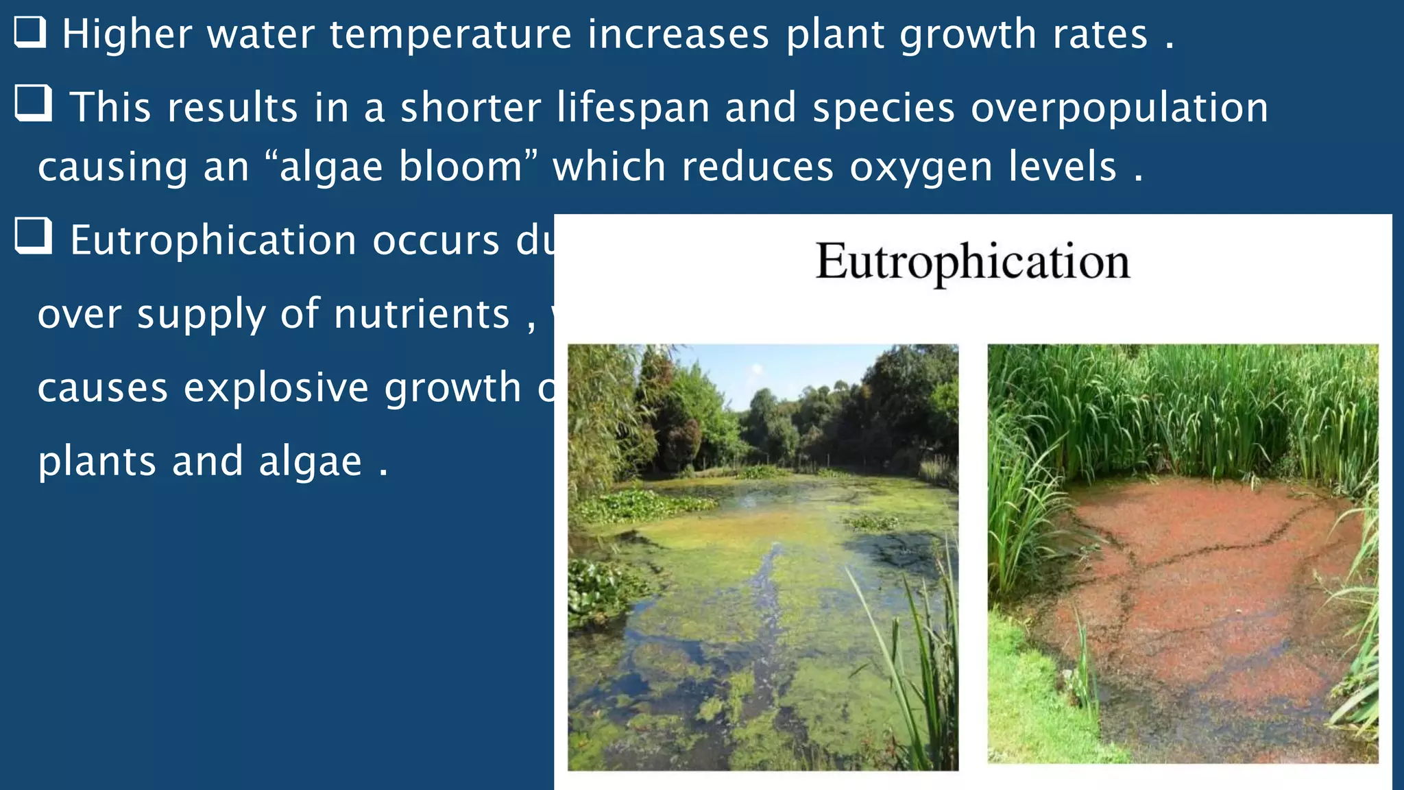  Higher water temperature increases plant growth rates .
 This results in a shorter lifespan and species overpopulation
causing an “algae bloom” which reduces oxygen levels .
 Eutrophication occurs due to
over supply of nutrients , which
causes explosive growth of
plants and algae .
 