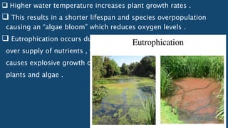  Higher water temperature increases plant growth rates .
 This results in a shorter lifespan and species overpopulation
causing an “algae bloom” which reduces oxygen levels .
 Eutrophication occurs due to
over supply of nutrients , which
causes explosive growth of
plants and algae .
 