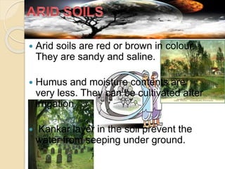  Arid soils are red or brown in colour.
They are sandy and saline.
 Humus and moisture contents are
very less. They can be cultivated after
irrigation.
 Kankar layer in the soil prevent the
water from seeping under ground.
 