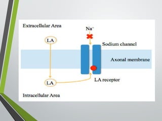 Local Anesthesia | PPTX