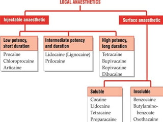 Local Anesthesia | PPTX