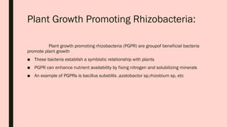 Role of Mycorrhizae, Root Exudates, and PGPRs in Enhancing Plant ...