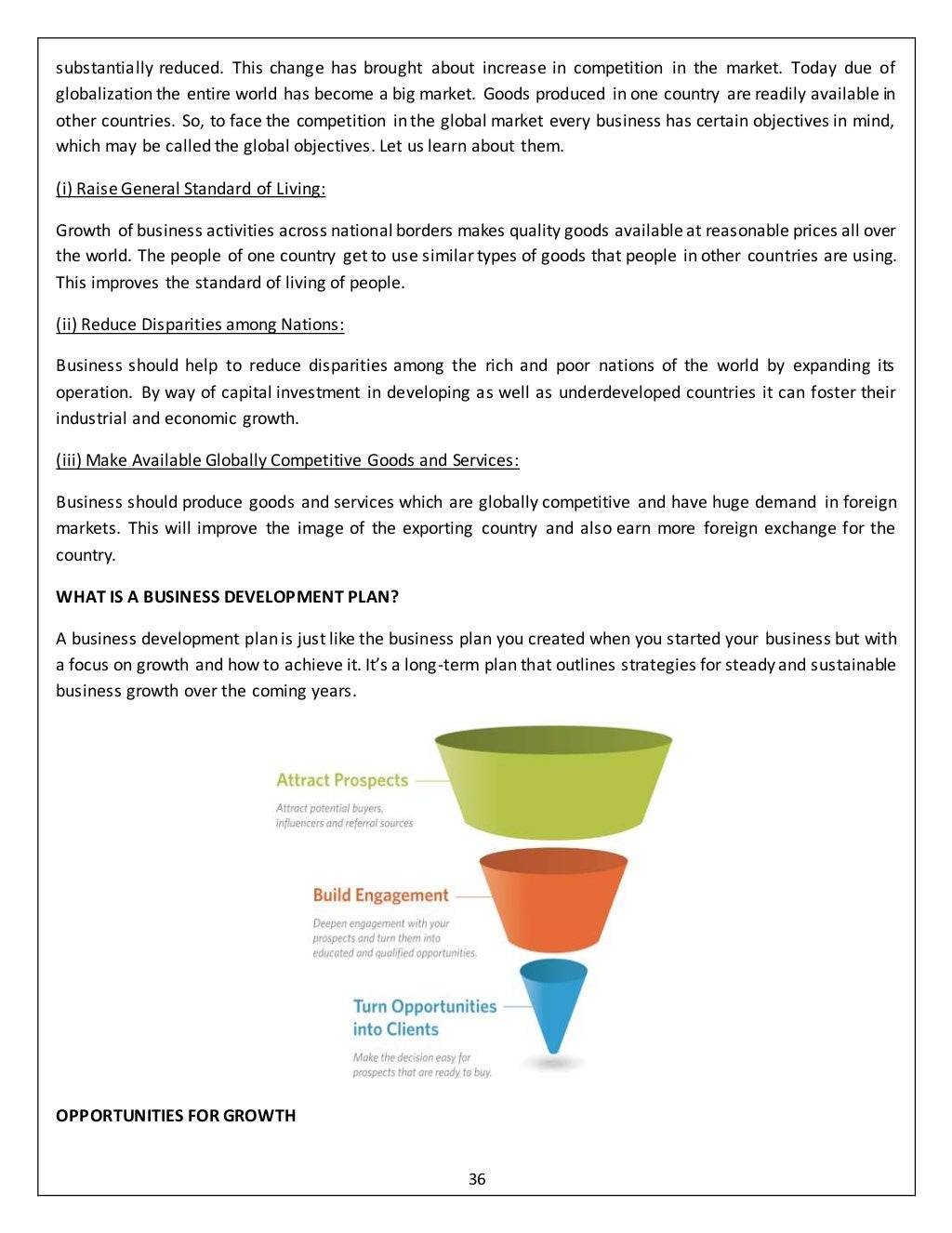 Business development summer internship project report