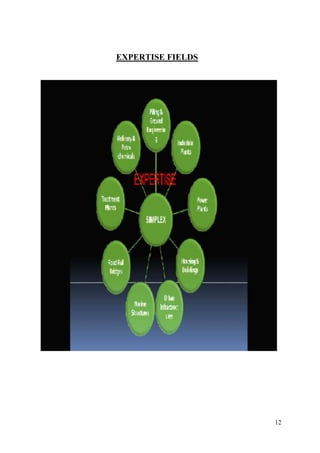 EXPERTISE FIELDS




                   12
 