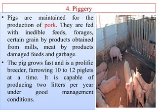 Rahul Raj - Production potential of different components of farming ...