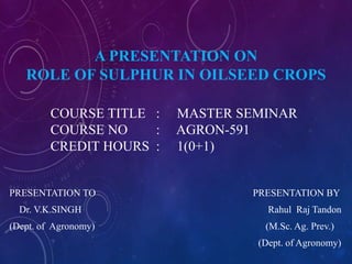 A PRESENTATION ON
ROLE OF SULPHUR IN OILSEED CROPS
PRESENTATION TO PRESENTATION BY
Dr. V.K.SINGH Rahul Raj Tandon
(Dept. of Agronomy) (M.Sc. Ag. Prev.)
(Dept. of Agronomy)
COURSE TITLE : MASTER SEMINAR
COURSE NO : AGRON-591
CREDIT HOURS : 1(0+1)
 