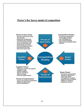 project report on footwear company
