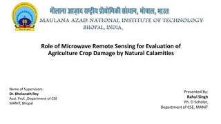 Role of Microwave Remote Sensing for Evaluation of
Agriculture Crop Damage by Natural Calamities
Name of Supervisors:
Dr. Bholanath Roy
Asst. Prof. ,Department of CSE
MANIT, Bhopal
Presented By:
Rahul Singh
Ph. D Scholar,
Department of CSE, MANIT
 