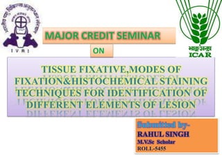 TISSUE FIXATIVE,MODES OF
FIXATION&HISTOCHEMICAL STAINING
TECHNIQUES FOR IDENTIFICATION OF
DIFFERENT ELEMENTS OF LESION
Submitted by-
RAHUL SINGH
M.V.Sc Scholar
ROLL-5455
MAJOR CREDIT SEMINAR
ON
 