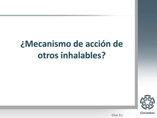 Estudios conductualesEfectos agudos:AnsiolíticosAntidepresivosAnticonvulsivosDeprimen coordinación locomotoraEfectos crónicosToleranciaNeurotoxicidad