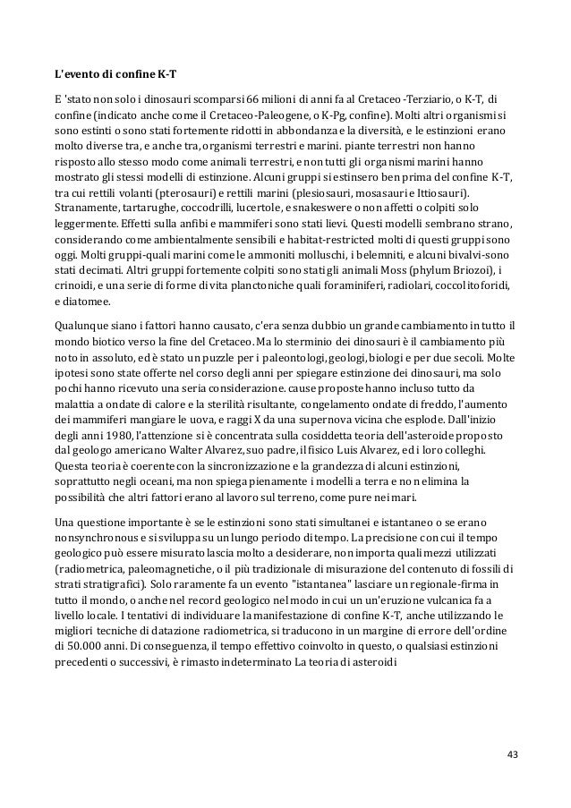 Datazione allenatore Judith