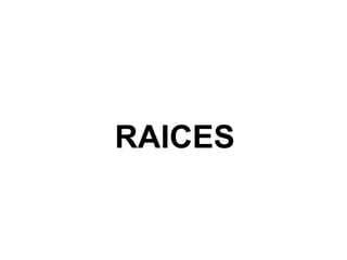 RAICES
 