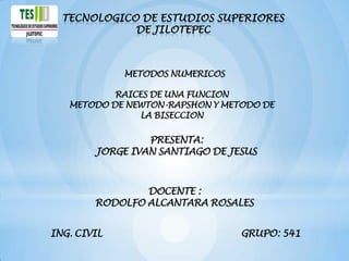 TECNOLOGICO DE ESTUDIOS SUPERIORES
           DE JILOTEPEC
 