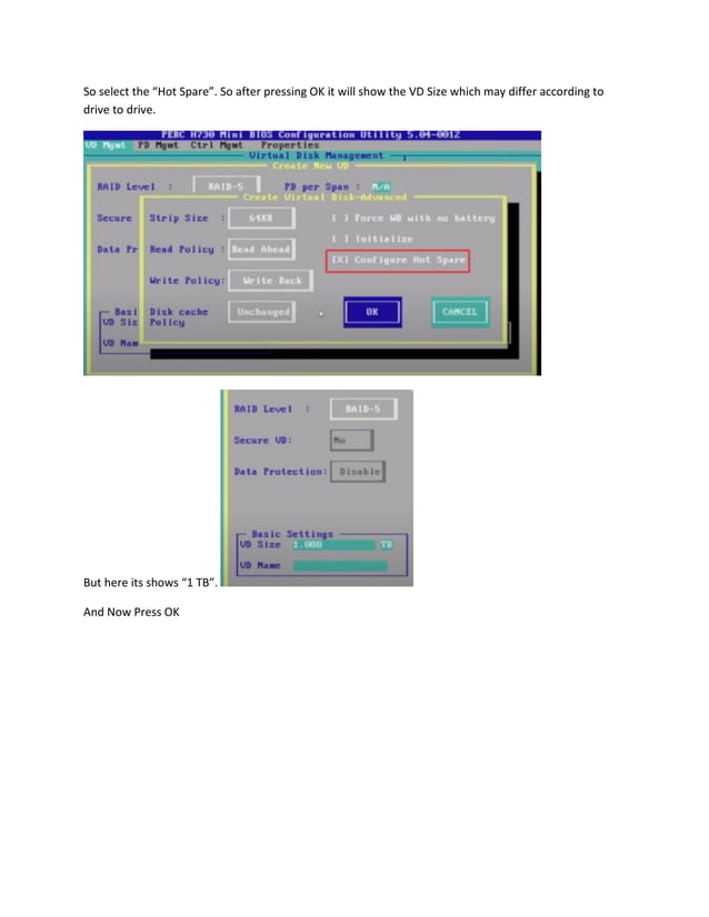 RAID-Level Configuration on BIOS of DELL Server.pdf