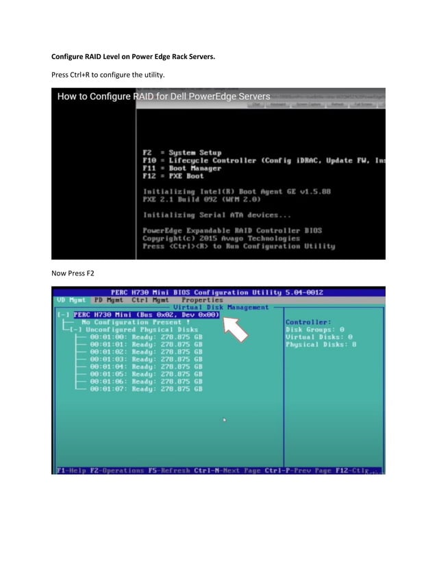 RAIDLevel Configuration on BIOS of DELL Server.pdf