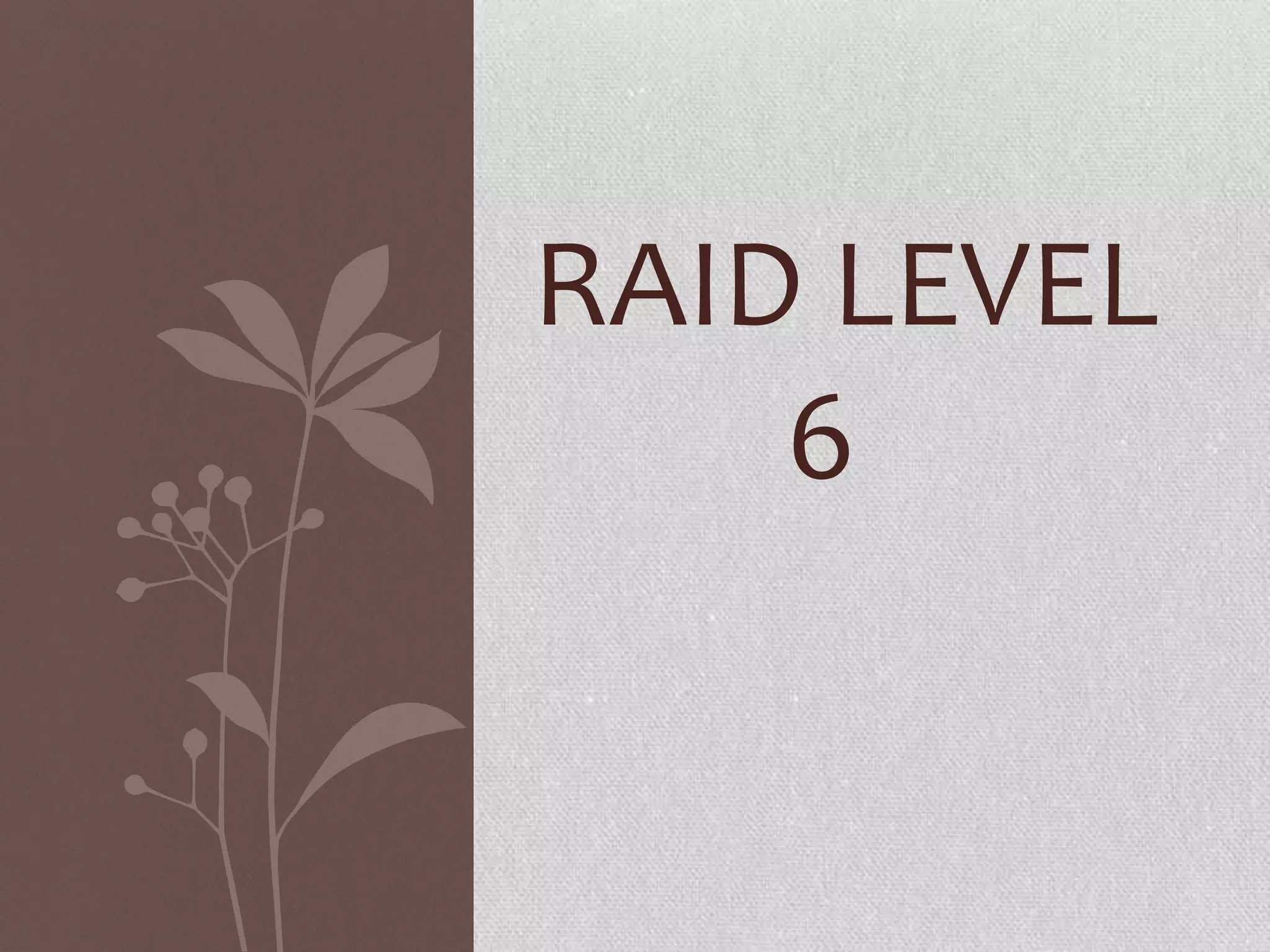 RAID LEVEL
6

 