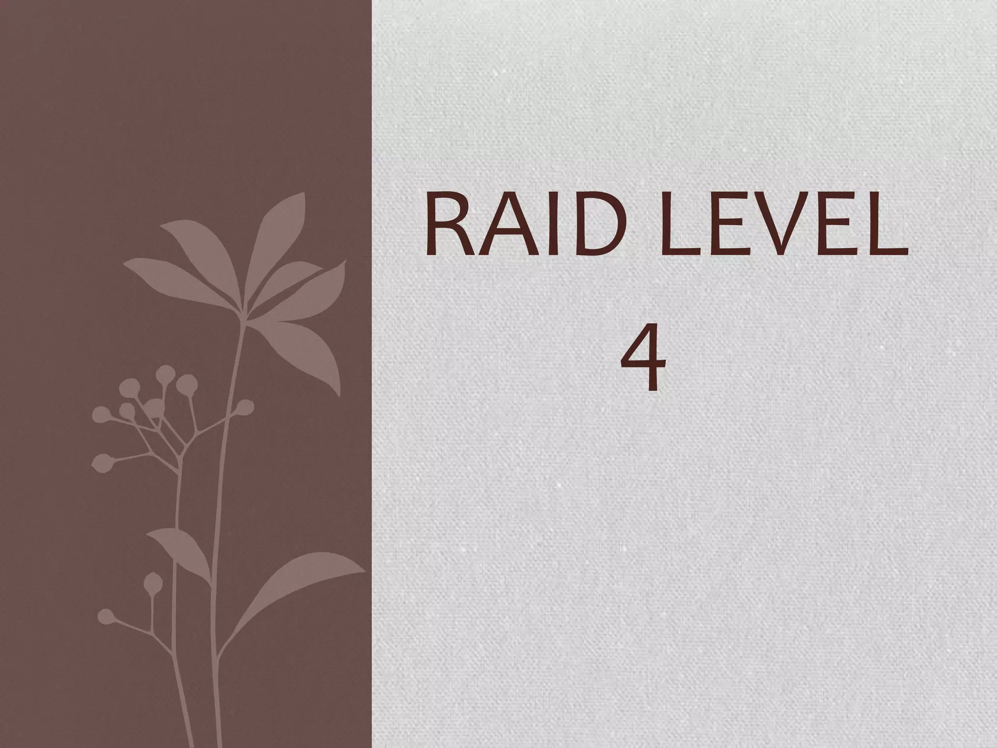 RAID LEVEL
4

 