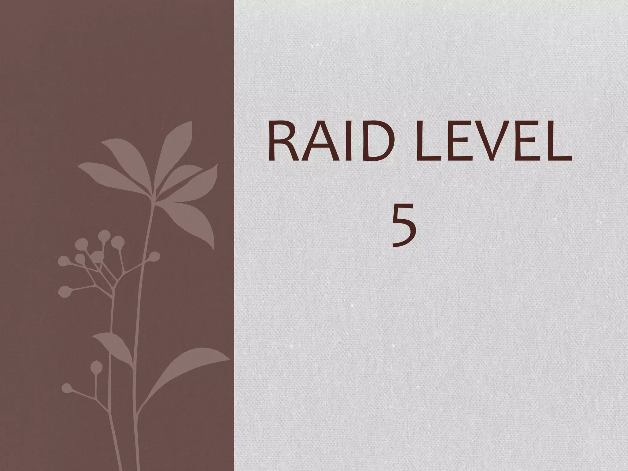 RAID LEVEL
5

 