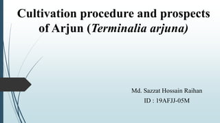 Cultivation procedure and prospects
of Arjun (Terminalia arjuna)
Md. Sazzat Hossain Raihan
ID : 19AFJJ-05M
 
