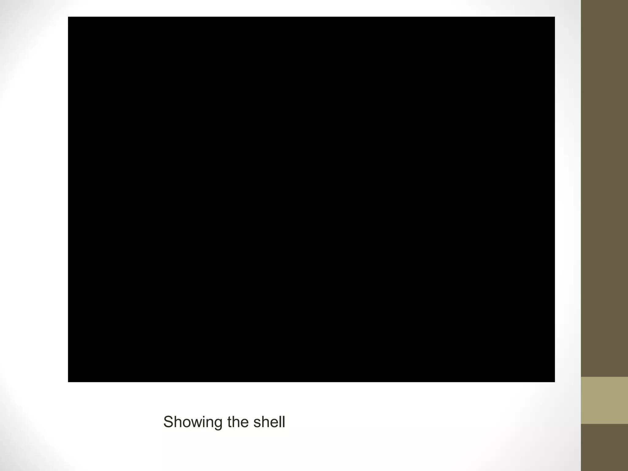 • US Navy.

Showing the shell

 