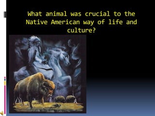 What animal was crucial to the
  Native American way of life and
             culture?
 A) Buffalo


 B) Bear


 C) Snapping Turtle


 D) Bugs Bunny
 