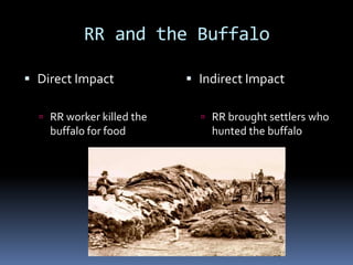 RR and the Buffalo

 Direct Impact             Indirect Impact

   RR worker killed the      RR brought settlers who
    buffalo for food           hunted the buffalo
 