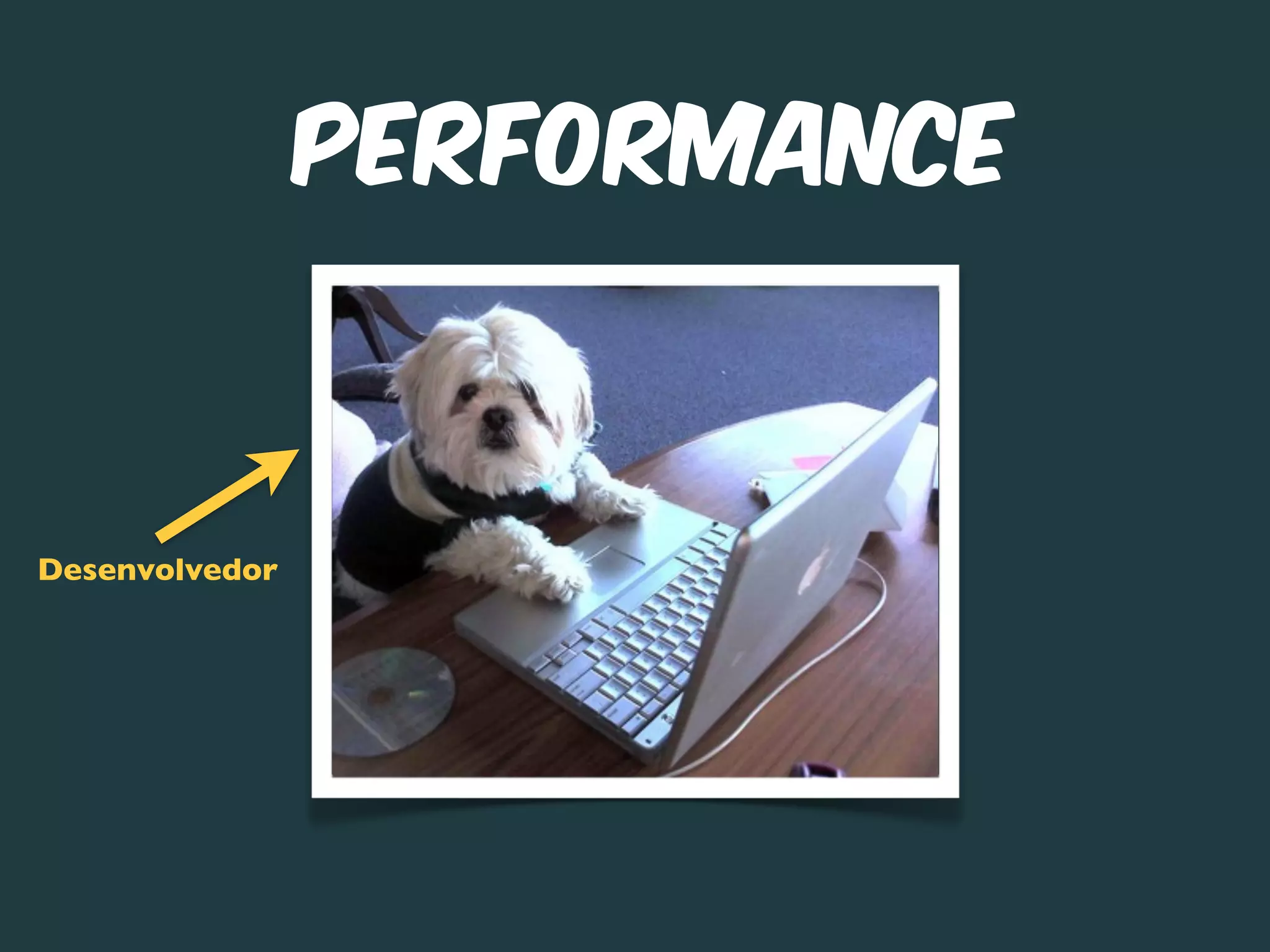 Performance



Desenvolvedor
 