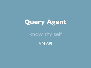 Query Agent
 know thy self
    VM API
 