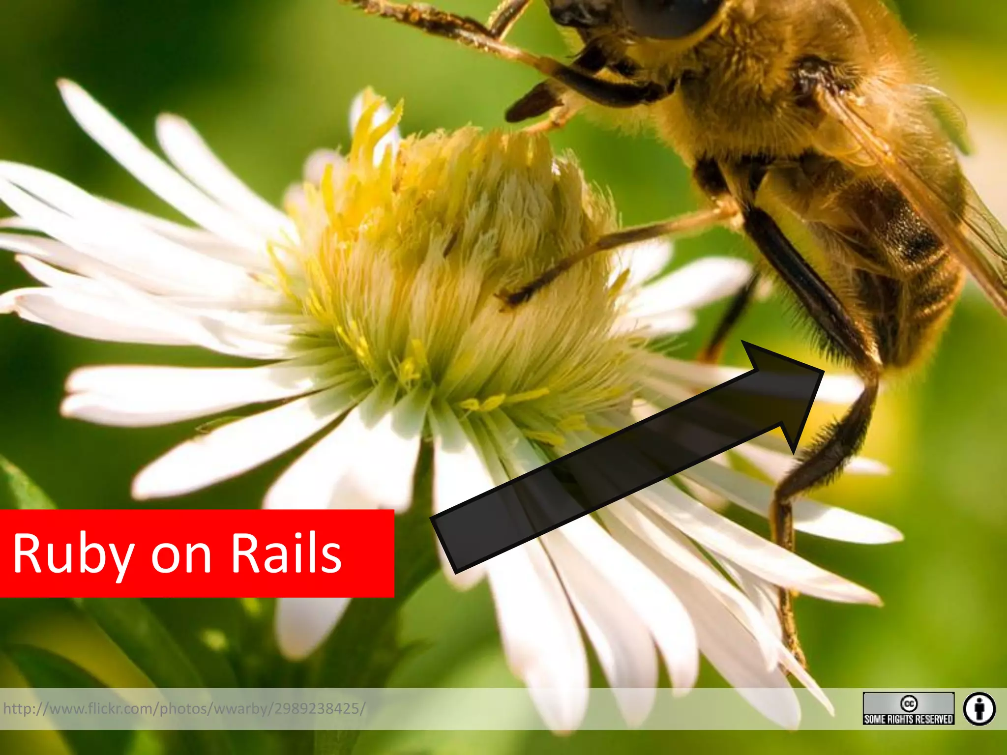 Cloud-Friendly Open Source Ruby on Rails Fee, Turner and Mac. http://www.flickr.com/photos/wwarby/2989238425/ 