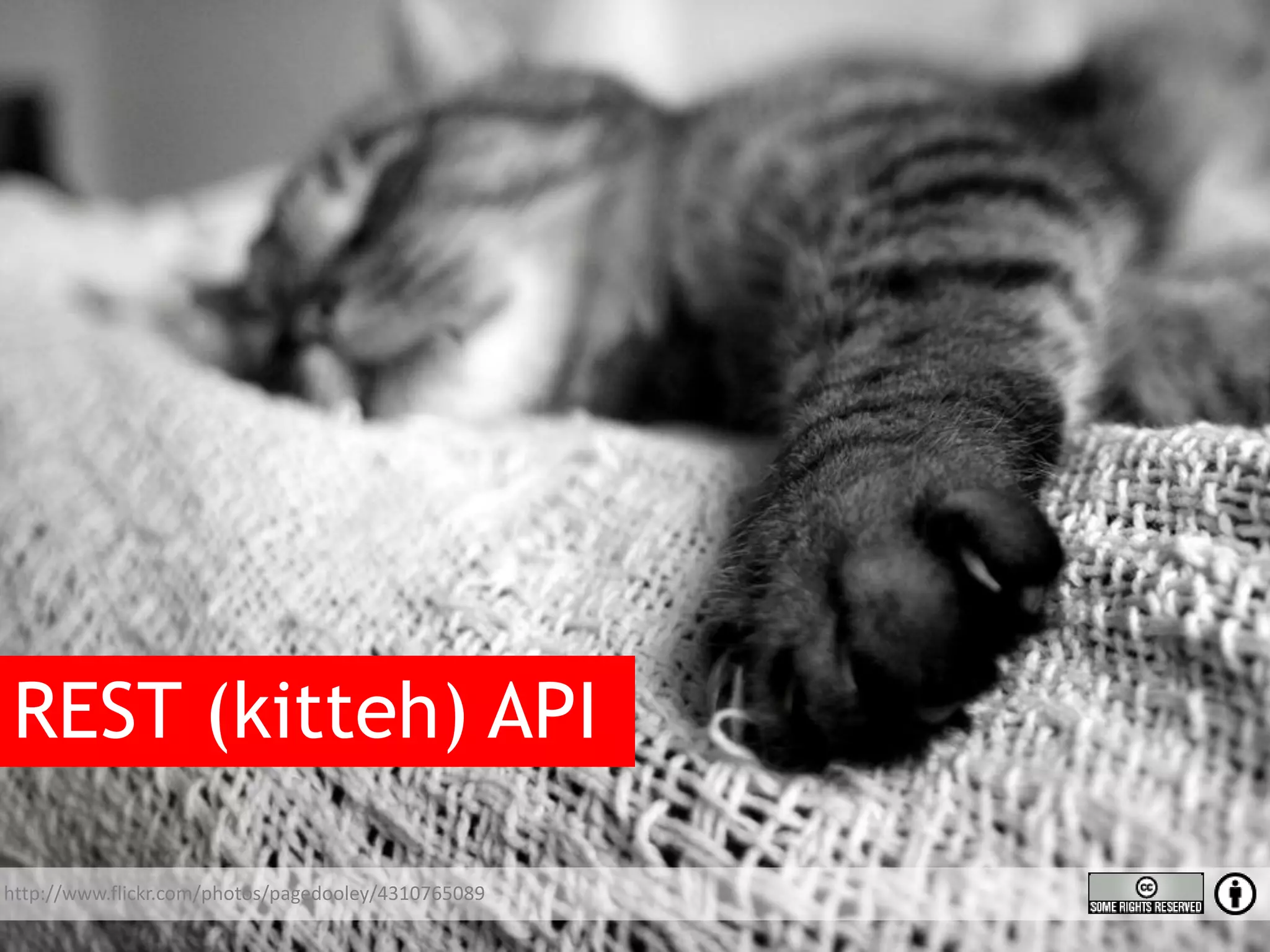 REST (kitteh) API http://www.flickr.com/photos/pagedooley/4310765089 