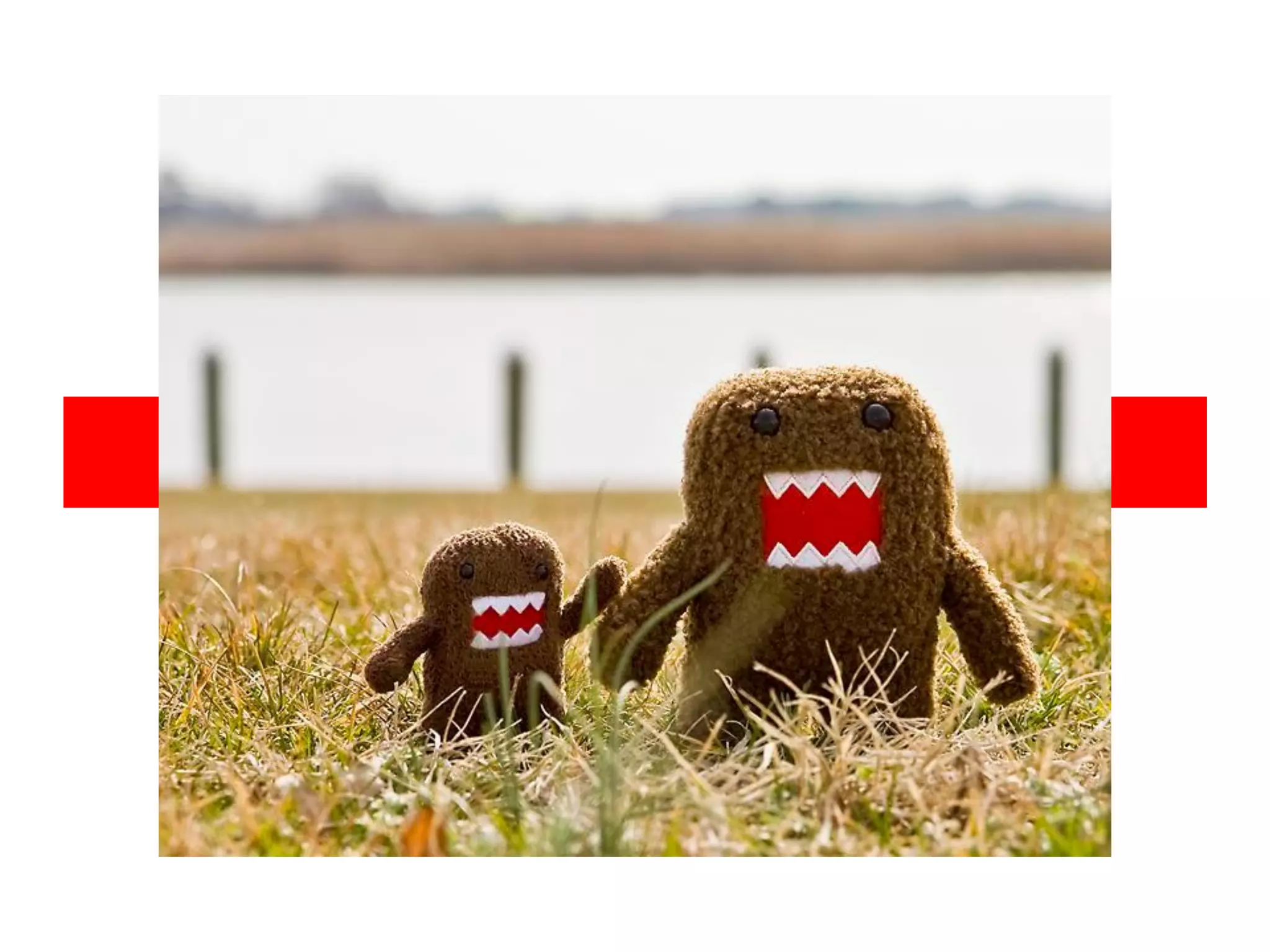 Using ArcGIS Server with Ruby on Rails