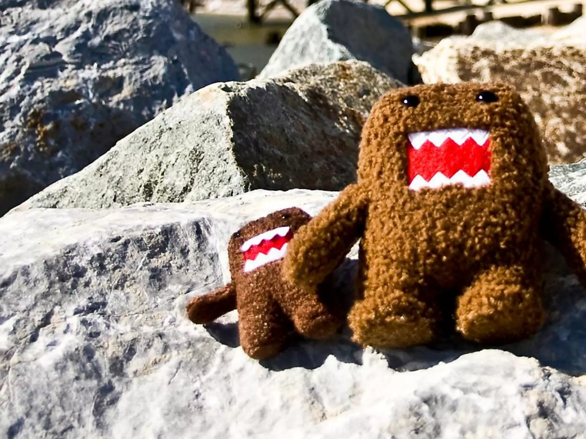 Using ArcGIS Server with Ruby on Rails